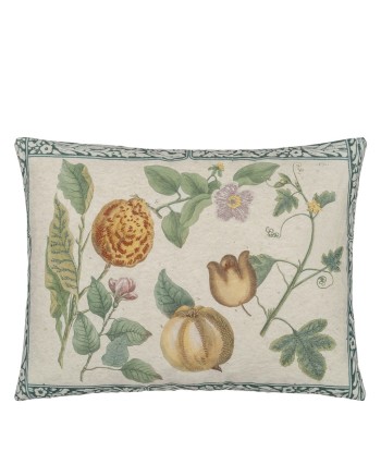 Coussin Lemons Canvas acheter