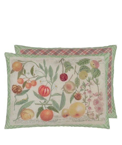 Coussin Oranges Canvas prix pour 