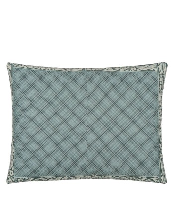 Coussin Lemons Canvas acheter