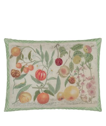 Coussin Oranges Canvas prix pour 