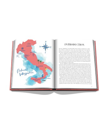 Livre Villeggiatura: Italian Summer Vacation votre