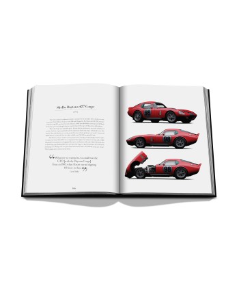 Livre Iconic: Art, Design, Advertising, and the Automobile la colonne vertébrale