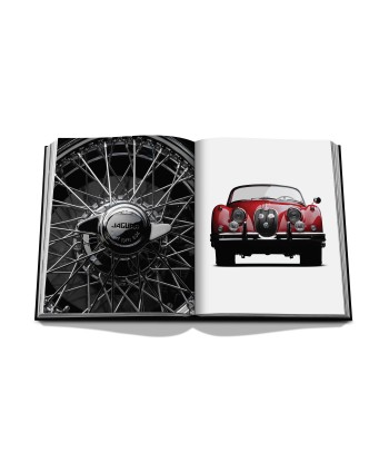 Livre Iconic: Art, Design, Advertising, and the Automobile la colonne vertébrale