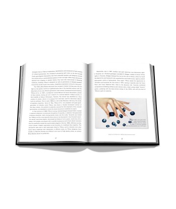 Livre Tiffany & Co. Vision and Virtuosity (Ultimate Edition): Impossible Collection soldes