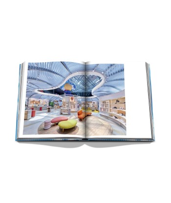 Book Louis Vuitton Skin: Architecture of Luxury (Paris Edition) la colonne vertébrale