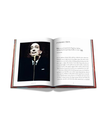 Livre Salvador Dalí: Impossible Collection rembourrage situé sous