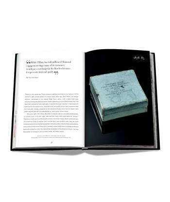 Livre Tiffany & Co. Vision and Virtuosity (Icon Edition) Paris Déstockage Promo