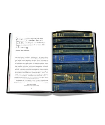 Livre Tiffany & Co. Vision and Virtuosity (Icon Edition) Paris Déstockage Promo