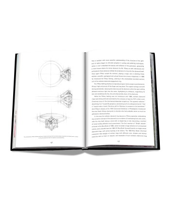 Livre Tiffany & Co. Vision and Virtuosity (Icon Edition) Paris Déstockage Promo