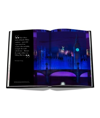 Book Windows at Tiffany &amp Co. (Icon Edition) Livraison rapide