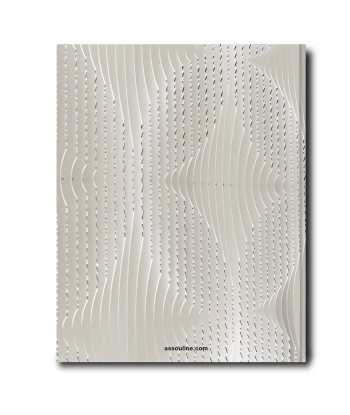 Book Louis Vuitton Skin: Architecture of Luxury (New-York Edition) destockage