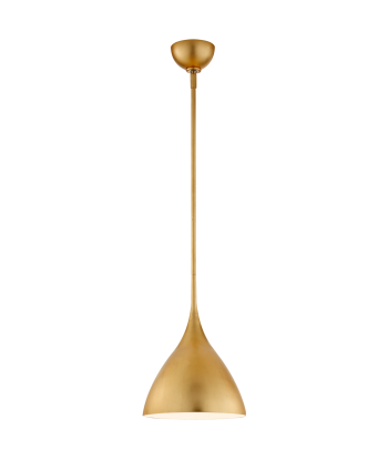 Agnes Small Gold Pendant Light Comment ça marche