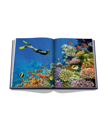 Ocean Wanderlust Book Profitez des Offres !